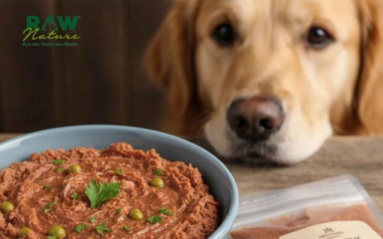 Das beste Nassfutter sensible hunde: Wie man die richtige Wahl trifft und keinen Fehler macht Das beste Nassfutter sensible hunde: Wie man die richtige Wahl trifft und keinen Fehler macht