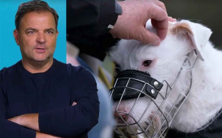 Tragödie nach der Tiervermittlung: Finanzielle und rechtliche Dimensionen bei der Adoption älterer oder kranker Hunde Tragödie nach der Tiervermittlung: Finanzielle und rechtliche Dimensionen bei der Adoption älterer oder kranker Hunde