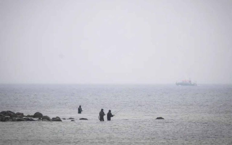 Dramatische Suche in der Ostsee: Befreiter Buckelwal möglicherweise vor Wismar gesichtet