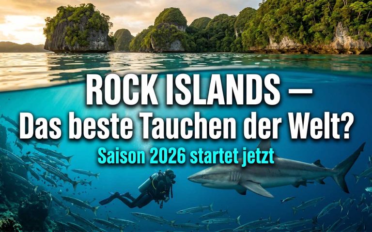 Rock Islands Tauchen: Palaus Hochsaison startet im Mai 2026