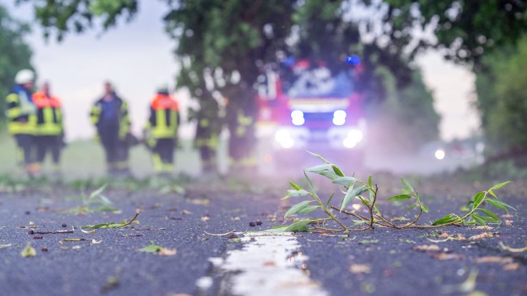 Heftige Unwetter treffen Bayern. Der DWD warnt vor extremen Gewittern mit Starkregen, Hagel und Sturmböen bis 80 km/h. Alle aktuellen Entwicklungen.