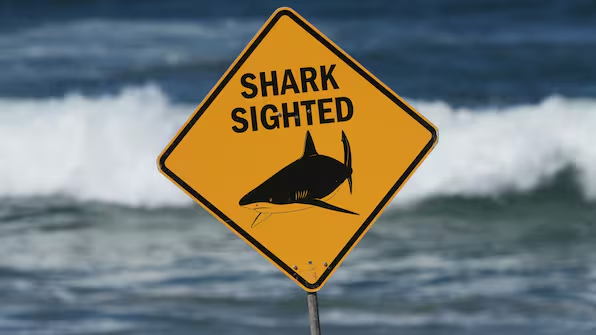 Haiangriff in Sydney: 35-jährige Frau schwebt nach Attacke in Lebensgefahr Eine 35-jährige Frau wurde bei einem Haiangriff am Coogee Beach in Sydney schwer verletzt. Die Schwimmerin schwebt in Lebensgefahr, mehrere Strände wurden gesperrt.