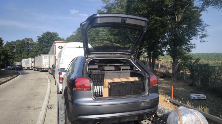 Auf der A6 entdeckte die Polizei mehrere tote Tiere in einem Transportanhänger. Ein Hund starb an Überhitzung, Hühner und Enten wurden gerettet.