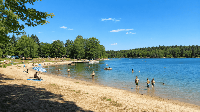 Entdecken Sie die schönsten Badeseen rund um Dresden 2026 mit Infos zu Wasserqualität, Stränden, Anreise, Parkplätzen, Familien und Hunden.