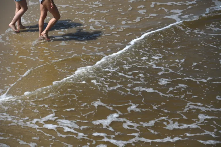 In Berlin ist ein Mensch nach einer Vibrionen-Infektion gestorben. Zwei weitere ältere Personen erkrankten nach Kontakt mit Ostseewasser.