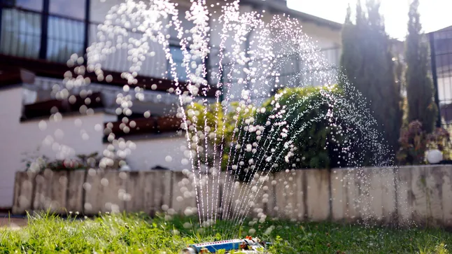 Wasserknappheit in Deutschland: Mehr als 80 Kommunen schränken Gartenbewässerung und Poolbefüllung ein Mehr als 80 Kommunen in Deutschland beschränken Wasserentnahme, Gartenbewässerung und Poolbefüllung wegen Hitze, Dürre und sinkender Grundwasserstände.