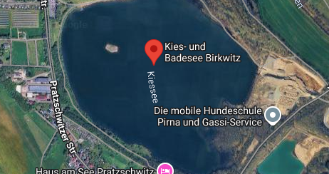 Badeseen Dresden 2026: Die besten Orte zum Schwimmen