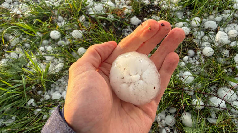 Golfballgroßer Hagel beschädigt Hunderte Autos im Norden Deutschlands Großer Hagel und Starkregen beschädigen Autos und Dächer im Norden Deutschlands. Der DWD warnt vor weiteren Gewittern, Überflutungen und Sturmböen.