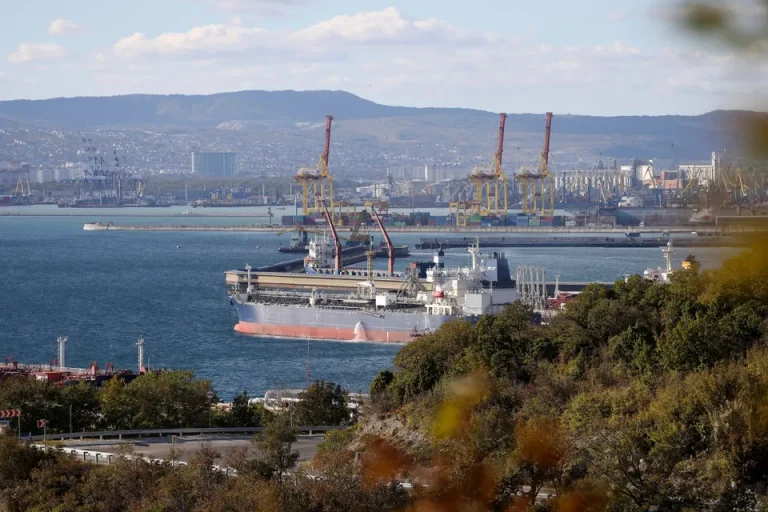 Ukrainische Drohnen versenkten das Schiff „Janina“ bei Noworossijsk und griffen drei russische Ölraffinerien in Baschkortostan an.