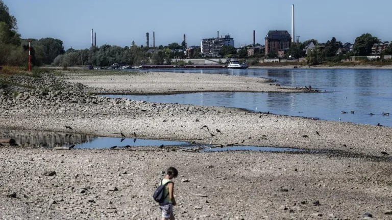 Historischer Niedrigwasserstand des Rheins bei Köln bringt die Schifffahrt nahezu zum Erliegen Historisch niedriger Rheinpegel bei Köln schränkt die Schifffahrt stark ein. Frachter reduzieren ihre Ladung, zahlreiche Fahrten werden unwirtschaftlich.
