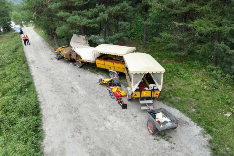 In der Schweiz prallt eine Pferdekutsche gegen einen Baum: Eine 73-jährige Frau stirbt, zwölf Menschen werden verletzt Im Kanton Graubünden prallte eine Pferdekutsche nach Bremsproblemen gegen einen Baum. Eine 73-Jährige starb, zwölf weitere Menschen wurden verletzt.