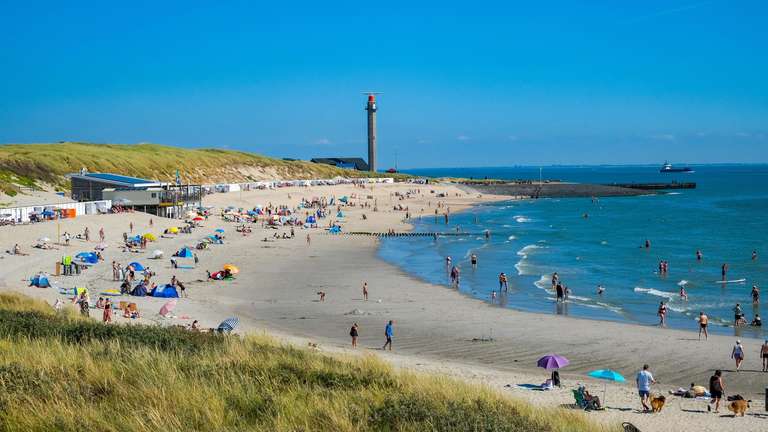 Mehr Tintenfische und Sepien an der niederländischen Küste Vor der Küste der Niederlande gibt es mehr Kalmare und Sepien. Forscher erklären, warum sich die Nordsee verändert und was das für Urlauber bedeutet.