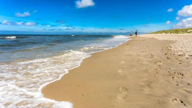 Norderney wird dank seines Meeresklimas zum Zufluchtsort für Allergiker Norderney lockt Allergiker mit sauberer Meeresluft, geringer Pollenbelastung und spezialisierten Thalasso-Angeboten an der deutschen Nordseeküste.