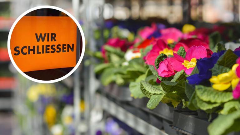 Gartencenter in Deutschland schließt nach 50 Jahren: großer Räumungsverkauf gestartet Das Garten-Center Hilgert in Ahaus schließt nach 50 Jahren. Bis Ende 2026 läuft der Räumungsverkauf mit Rabatten von bis zu 50 Prozent.