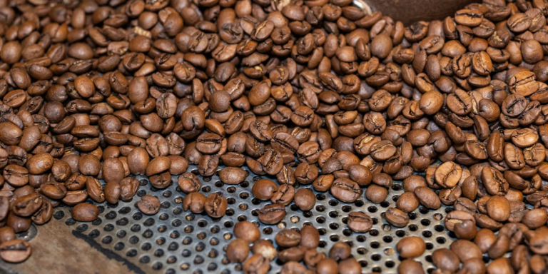 EU plant neue Importregeln: Kaffee könnte sich mehr als verdreifachen Die EU plant strengere Importregeln: Pestizidvorgaben könnten Agrarimporte um 41 % senken und Kaffee um bis zu 332 % verteuern.