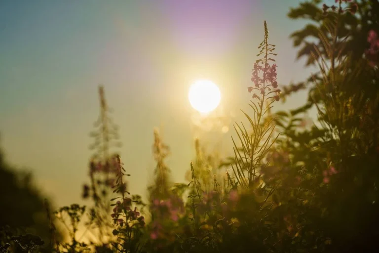 Sommer-Comeback im Saarland: Am Dienstag sind noch einmal Temperaturen nahe 30 Grad möglich. Danach bringt die Woche deutlich kühleres Herbstwetter.